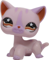 #0933 Shorthair Cat